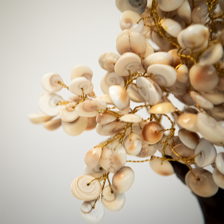 Gomati Chakra Tree