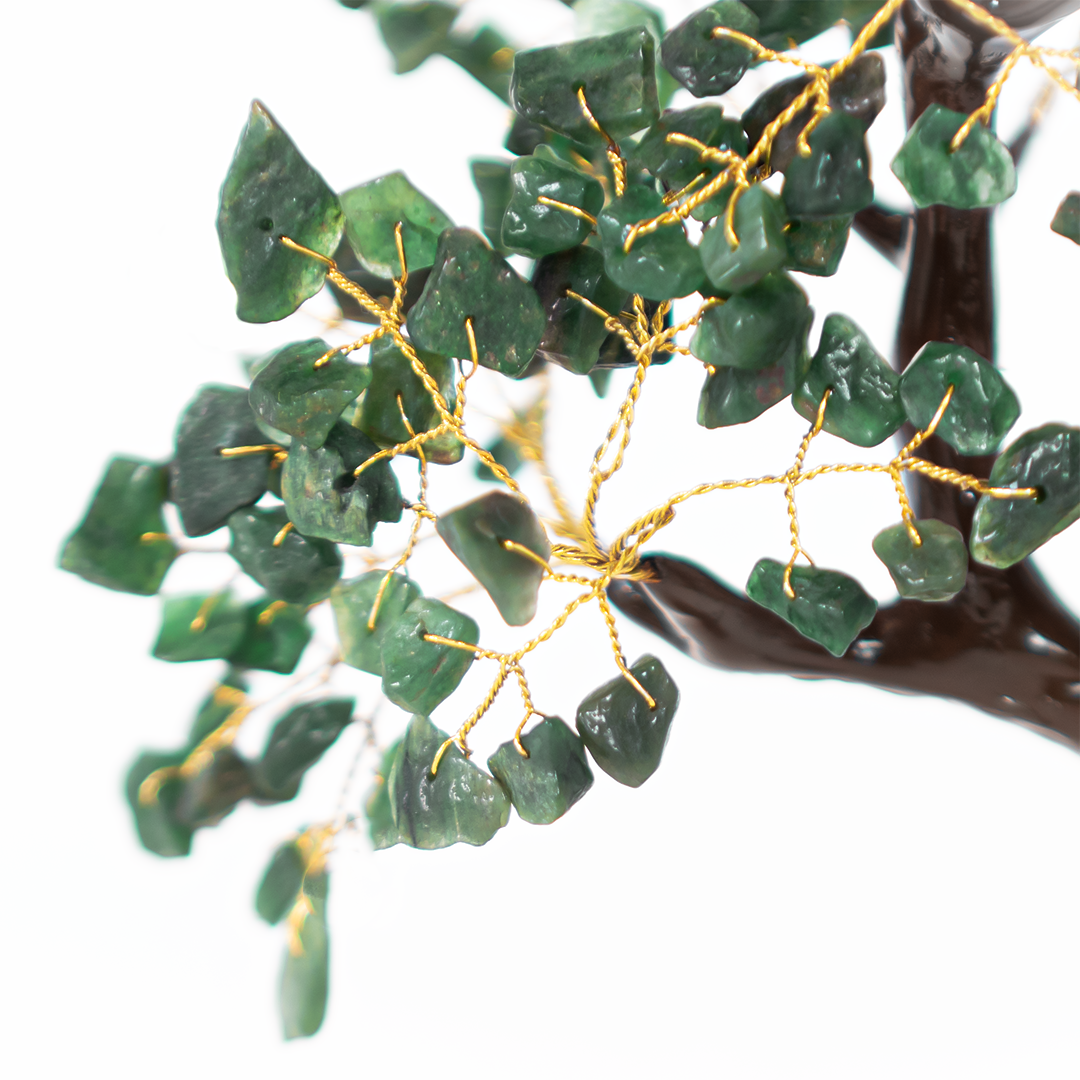 Jade Tree