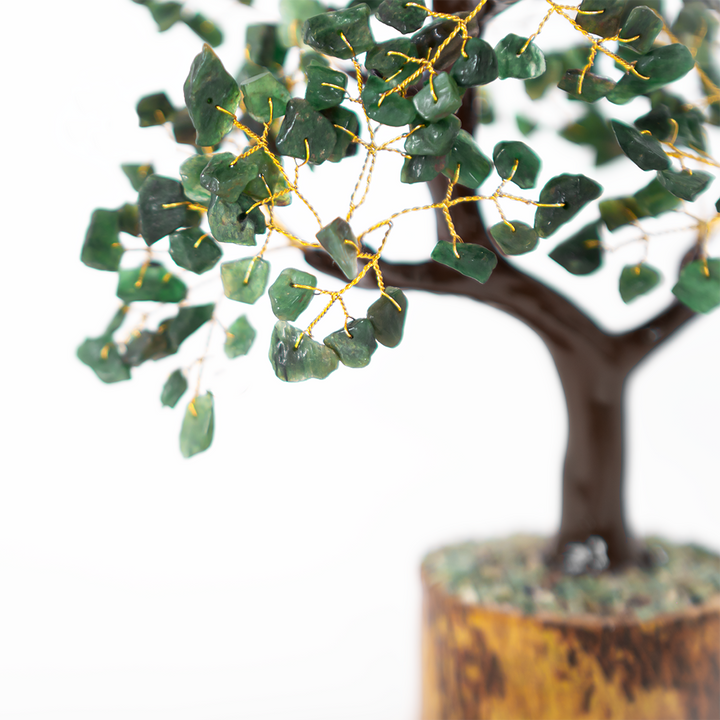 Jade Tree