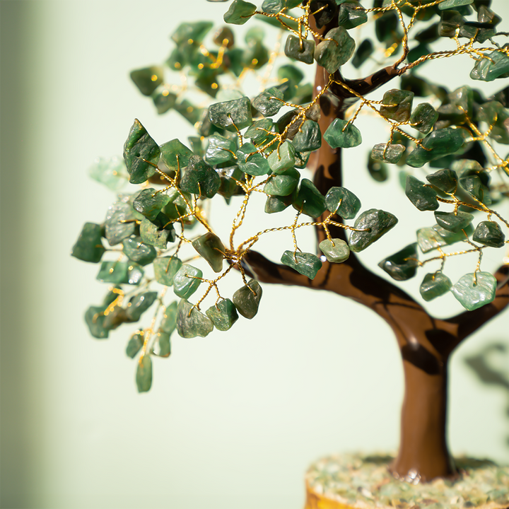 Jade Tree