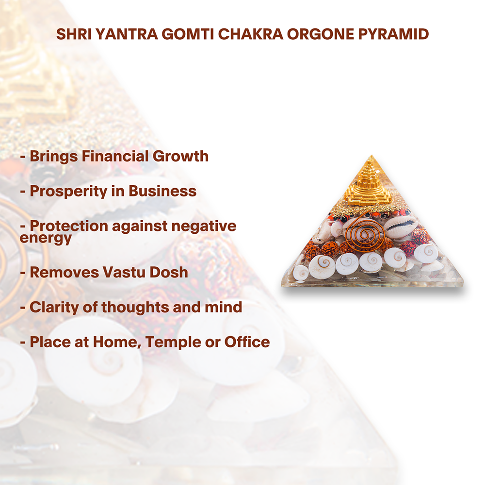 The Wealth Bundle (Laxmi Pyramid + Gomati Rudraksh Tree 108 Beads)